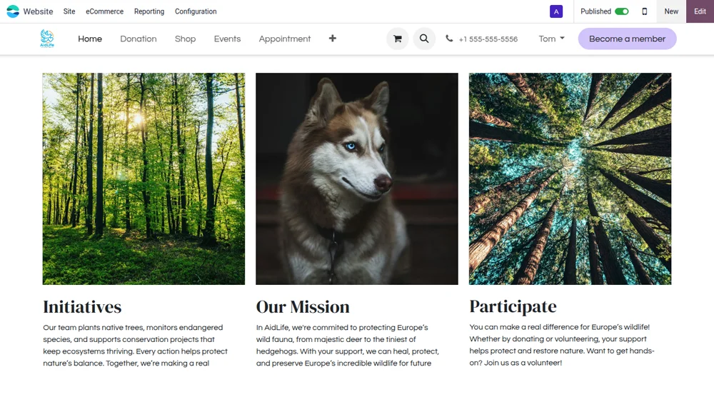 Site web association — mission et initiatives