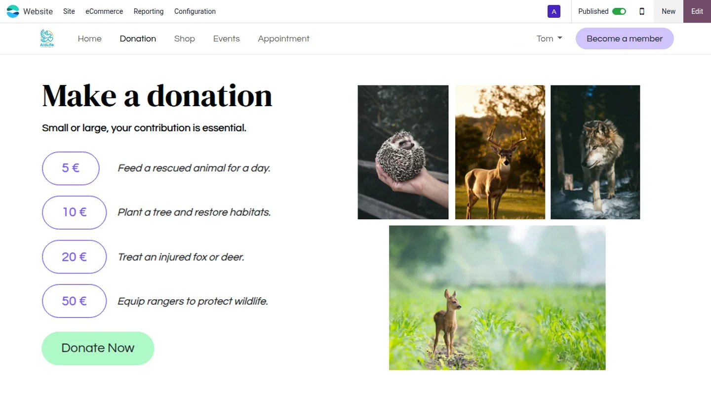 Page de dons Odoo association